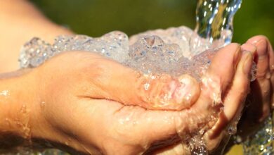 Photo of World Water Day today