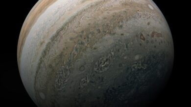 Photo of Gigantic Jupiter-like alien planet observed still ‘in the womb’
