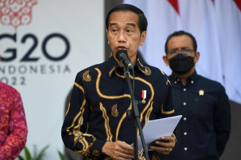 US frowns on Indonesia's invite to Putin for G20 summit