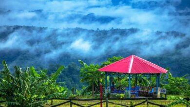 Photo of Sajek Valley to remain shut for 6 days
