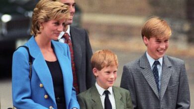 Photo of Prince Harry, William have ‘explosive mood swings’ like Princess Diana