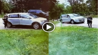 Photo of Viral video: Vehicle starts moving backward, when mother gets her child out