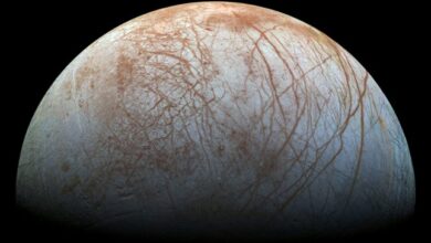 Photo of Search for life on Jupiter moon Europa bolstered by new study