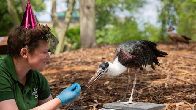 World's oldest scientific zoo celebrates 194th anniversary