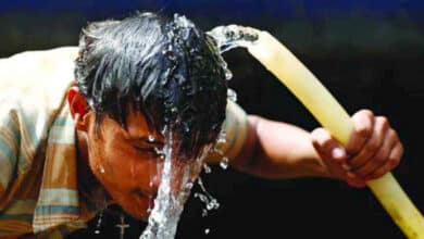 Photo of Mild heatwave may continue