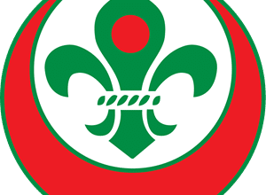 Photo of Bangladesh Scouts Day today