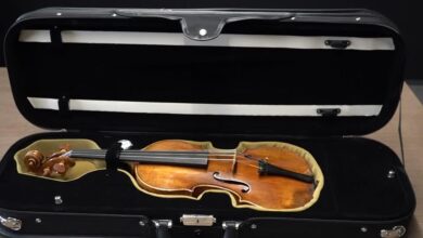 Photo of ‘Da Vinci of violins’ goes up for auction in France