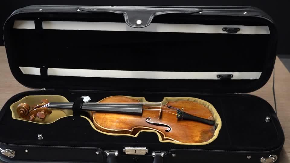 'Da Vinci of violins' goes up for auction in France