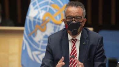 Photo of Zika, dengue could trigger next pandemic, says WHO
