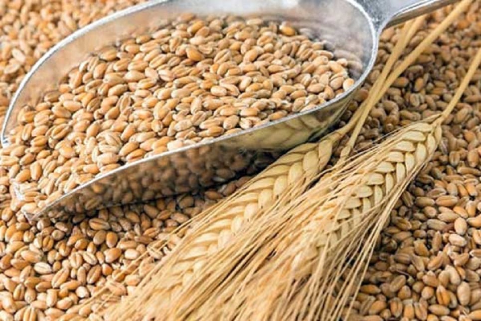 52,500 tonnes of Indian wheat arrive at Chattogram port