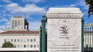 Traders have offered various suggestions for the WTO conference