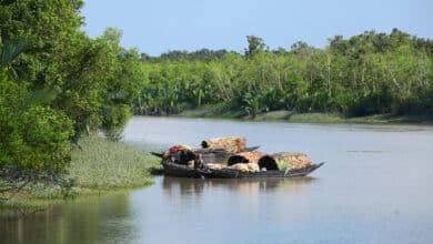 Photo of Fishing and tourism in Sundarbans banned for 3 months