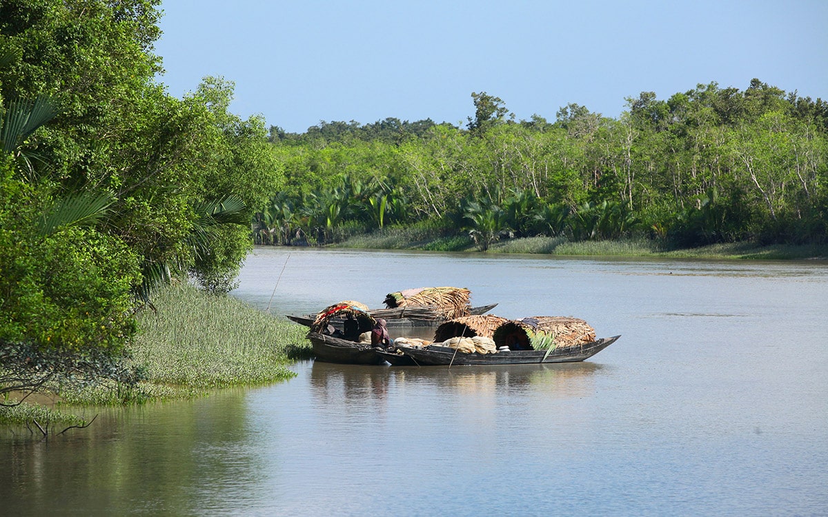 Fishing and tourism in Sundarbans banned for 3 months
