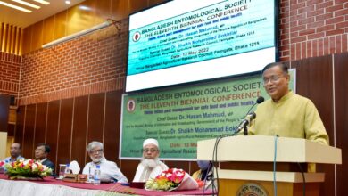 Photo of BNP’s dream of caretaker government won’t be successful: Hasan Mahmud