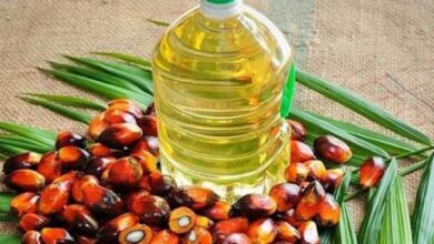 Photo of 13mn litres of palm oil on way to Chattogram from Indonesia