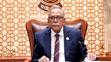 Photo of Sheikh Hasina’s homecoming paved way to establish Liberation War’s spirit:  President