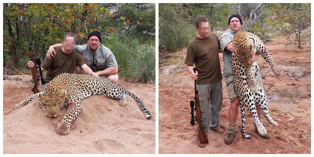 British trophy hunters kill animals every three minutes, claim it helps conservation in Africa