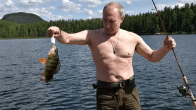 Photo of Leaders at G7 mock bare-chested horseback rider Putin