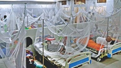 Photo of 40 more dengue patients hospitalized