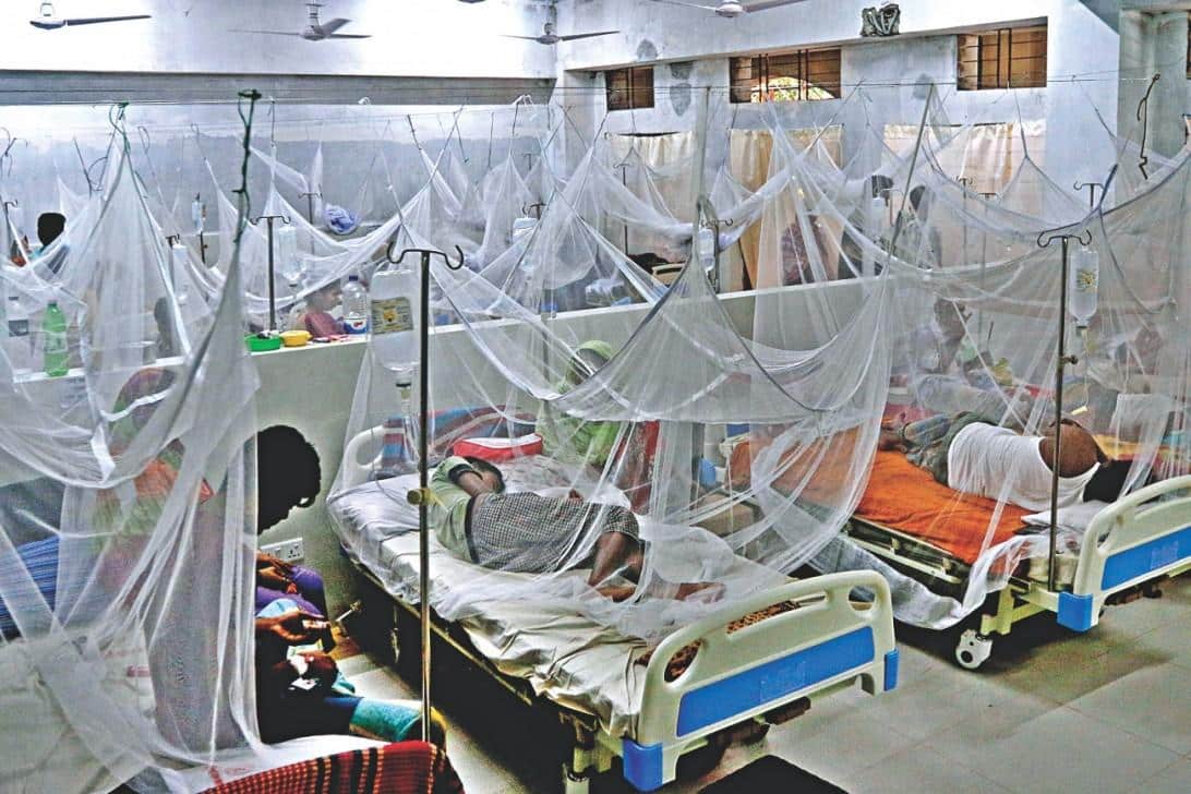 40 more dengue patients hospitalized