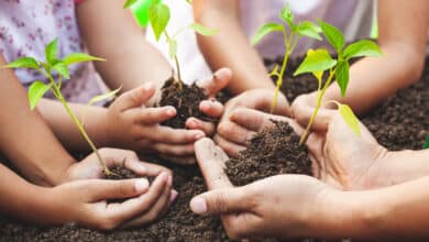 Photo of World Environment Day today