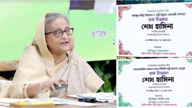 Photo of Southern region won’t be neglected anymore for Padma Bridge: PM