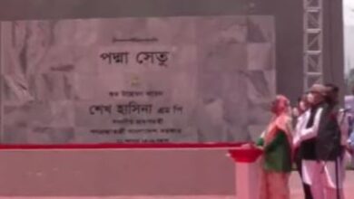 Photo of Padma Bridge: Dream comes true
