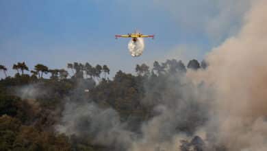 Photo of Italy heatwave peaks with 16 cities on red alert as Tuscany burns