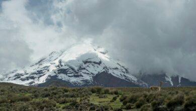Photo of Canadian woman dies in avalanche on Ecuador volcano: officials