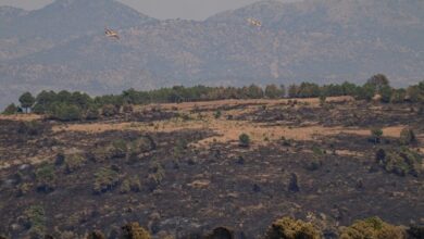 Photo of Neglected forests at the mercy of wildfires in Spain, Portugal