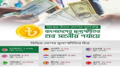 Photo of Bangladesh ahead of other nations in tackling inflation: AL