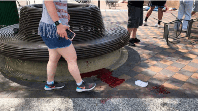 Photo of Six killed, 24 wounded in US July 4 parade shooting: officials