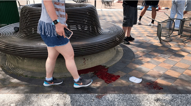 Six killed, 24 wounded in US July 4 parade shooting: officials