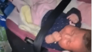 Photo of Watch: Israeli police abandon baby in car after arresting Palestinian parents