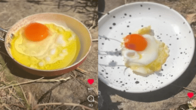 Photo of British woman fries egg under Sun to show UK’s heatwave