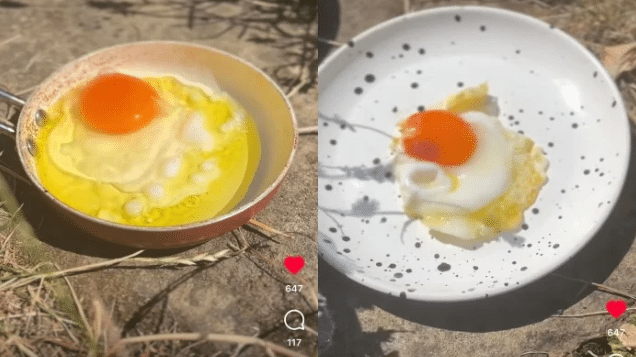 British woman fries egg under Sun to show UK’s heatwave