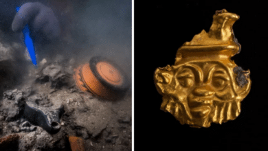 Photo of Ancient Greek shipwreck full of treasures discovered near Alexandria
