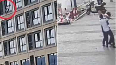 Photo of Video shows man heroically saving girl’s life from fifth-floor fall
