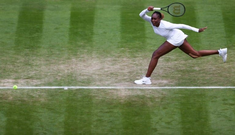 Venus Williams given singles wildcard to play Toronto