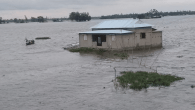 Photo of Torrential rains submerge northern & northeastern districts