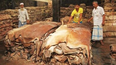 Photo of 4-lakh pieces of rawhide collected on Eid day