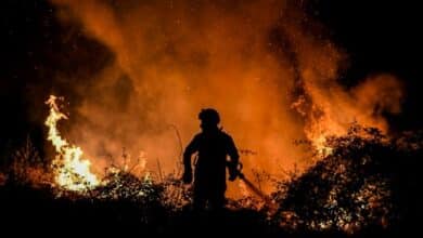 Photo of Forest fires rage in scorching southwest Europe