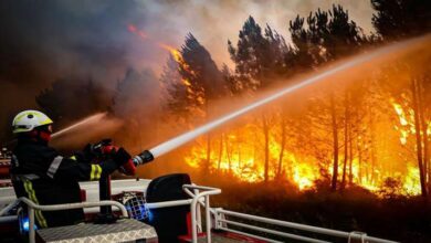 Photo of Europe heat wave: Fires ravage French forests and other parts of Europe