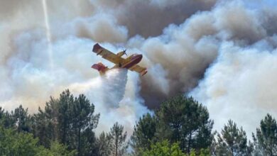 Photo of Wildfires rage in Europe’s France, Spain, Portugal; firefighting plane pilot killed