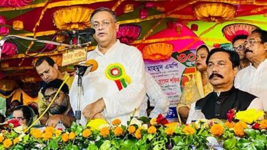 Photo of Hurricane lamp procession appears to have changed BNP’s electoral symbol: Hasan Mahmud