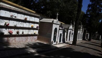 Photo of Portugal reports more than 1,000 heat-related deaths