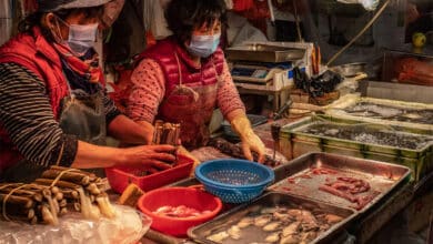 Photo of China’s Wuhan seafood market likely cause of Covid-19 outbreak, find studies