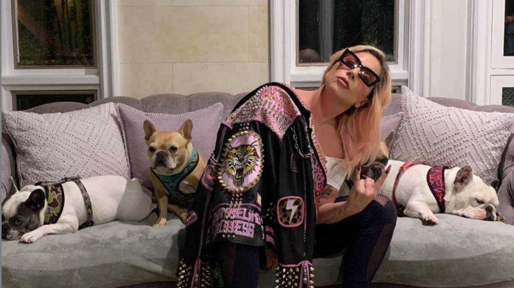 Lady Gaga dog robber sentenced to four years in US jail