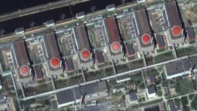 Photo of Ukraine nuclear plant back online as inspection prepared