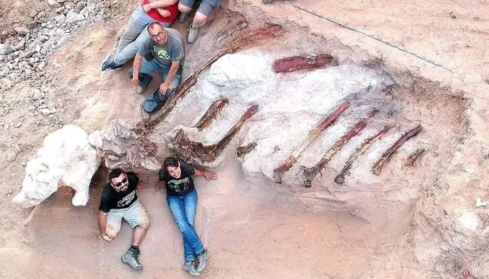 Man in Portugal discovers 82-foot-long dinosaur's ribs in his backyard